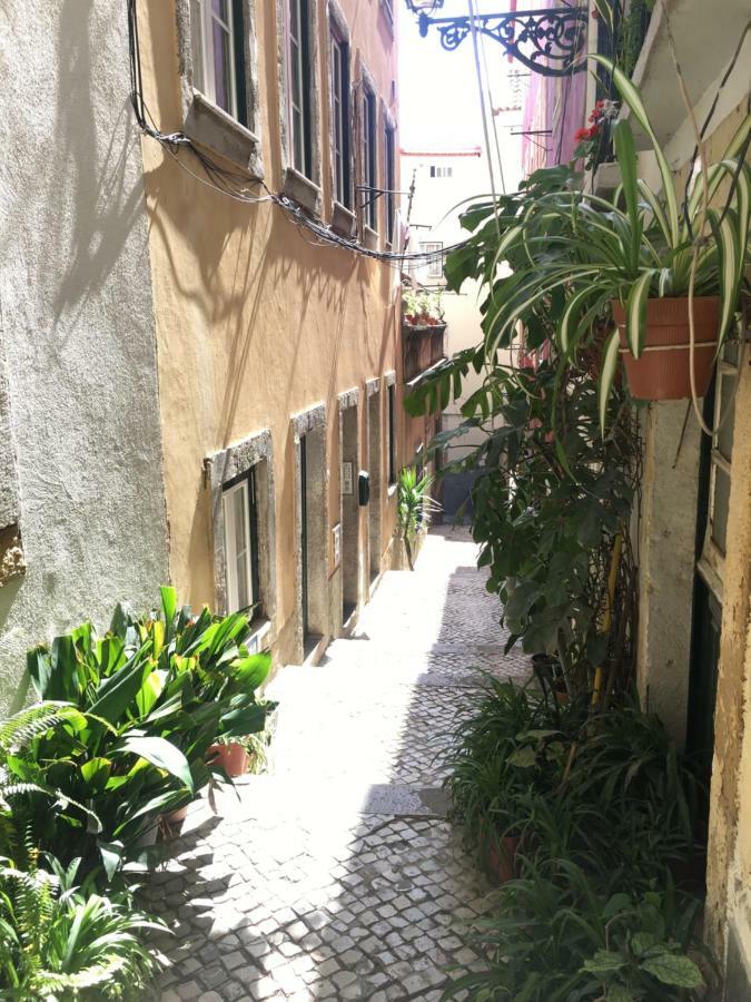 Casa Da Saudade, A Cozy Apartment In Alfama Lissabon Buitenkant foto